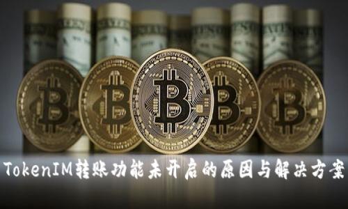 TokenIM转账功能未开启的原因与解决方案
